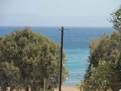 Free Sun And Διαμέρισμα